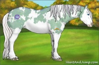 Horse Color:Watercolor White Spotted Silver Grullo Splash 