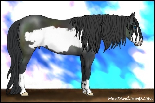 Horse Color:Black Frame
