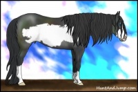 Horse Color:Black Frame 