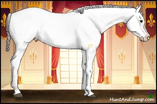 Horse Color:Liver Chestnut Appaloosa 