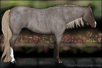 Horse Color:Liver Red Roan 