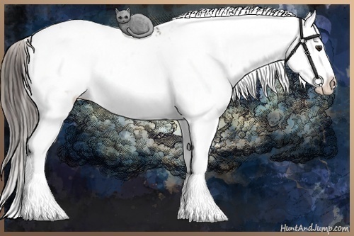 Horse Color:Liver Chestnut Sabino Snowflake Varnish