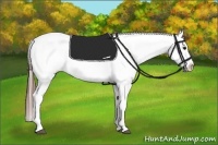 Horse Color:Bay Blanket