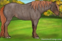 Horse Color:Liver Red Roan 