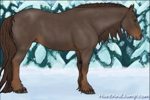 Horse Color:Liver Red Roan 