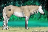Horse Color:Silver Grullo Pearl Sabino Splash