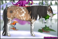 Horse Color:Bay Dun Sabino