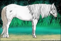 Horse Color:White Spotted Liver Chestnut Rabicano