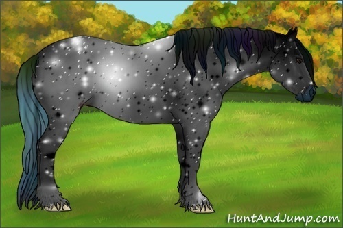 Horse Color:ERROR: UNKNOWN ANOMALY