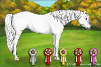 Horse Color:Gray Silver Black Sabino 