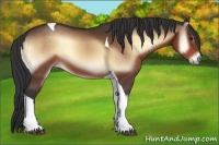 Horse Color:Bay Onyx Tobiano