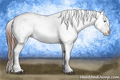 Horse Color:Bay Splash Frame Blanket
