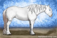 Horse Color:Bay Splash Frame Blanket 