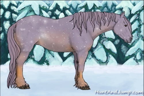 Horse Color:Watercolor Chestnut 