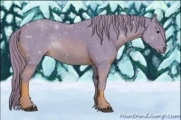Horse Color:Watercolor Chestnut 