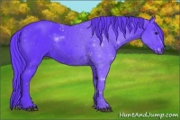 Horse Color:Watercolor Black 