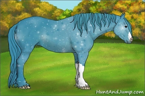 Horse Color:Watercolor Black 