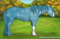 Horse Color:Watercolor Black 