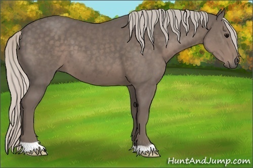 Horse Color:Silver Black 