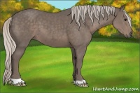 Horse Color:Silver Black 
