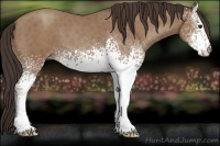 Horse Color:White Spotted Classic Champagne 
