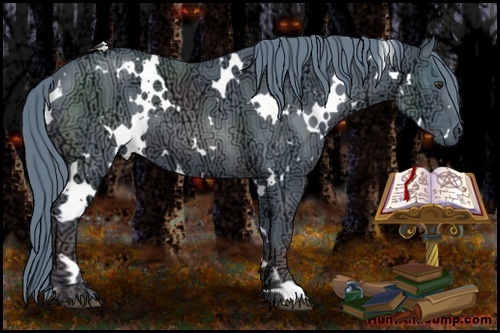 Horse Color:Watercolor White Spotted Chestnut Ice