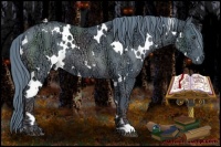 Horse Color:Watercolor White Spotted Chestnut Ice