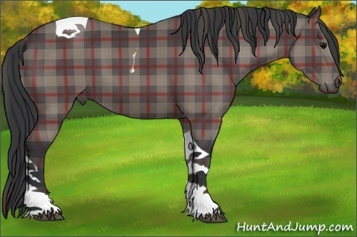 Horse Color:Plaid Black Tobiano
