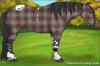 Horse Color:Plaid Black Tobiano
