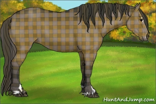 Horse Color:Plaid Black Sabino