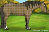 Horse Color:Plaid  Black Sabino 