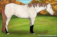 Horse Color:Smoky Grullo Ice Pearl Tobiano