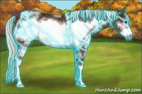 Horse Color:Thunderstruck White Spotted Silver Brown Ice Sabino Frame Rabicano