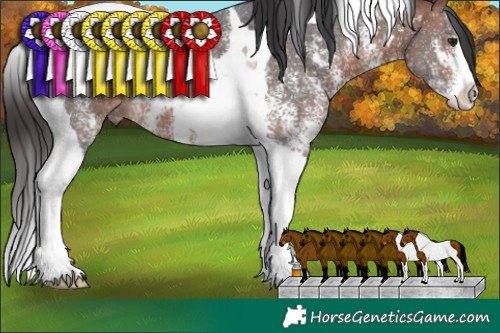 Horse Color:Bay Sabino Tobiano 