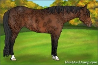 Horse Color:Bay Ice