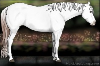Horse Color:Chestnut Varnish Rabicano