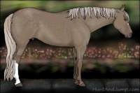 Horse Color:Silver Grullo 