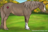 Horse Color:Chocolate Palomino Roan 
