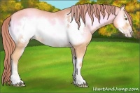 Horse Color:Watercolor Gold Champagne Onyx Sabino Frame