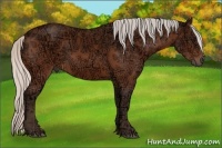 Horse Color:Silver Bay Ice 