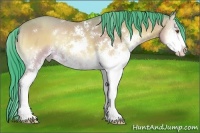 Horse Color:Watercolor Amber Champagne Onyx Sabino