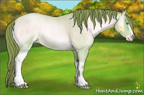 Horse Color:Watercolor Buckskin Roan Pearl Onyx Sabino