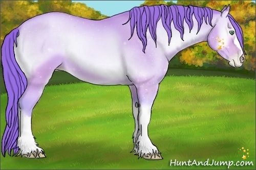 Horse Color:Watercolor Buckskin Pearl Onyx