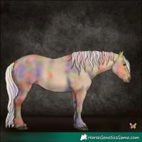 Horse Color:Nacre Silver Buckskin Dun 