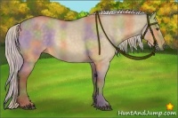 Horse Color:Nacre Silver Buckskin Dun 