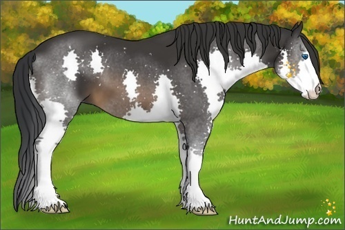 Horse Color:Brown Splash