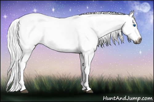 Horse Color:Gray Silver Bay Ice Splash 