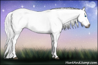 Horse Color:Gray Silver Bay Ice Splash 