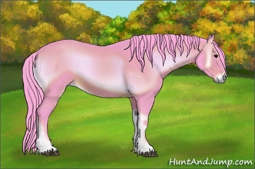 Horse Color:Watercolor Brown Onyx 