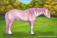 Horse Color:Watercolor Brown Onyx